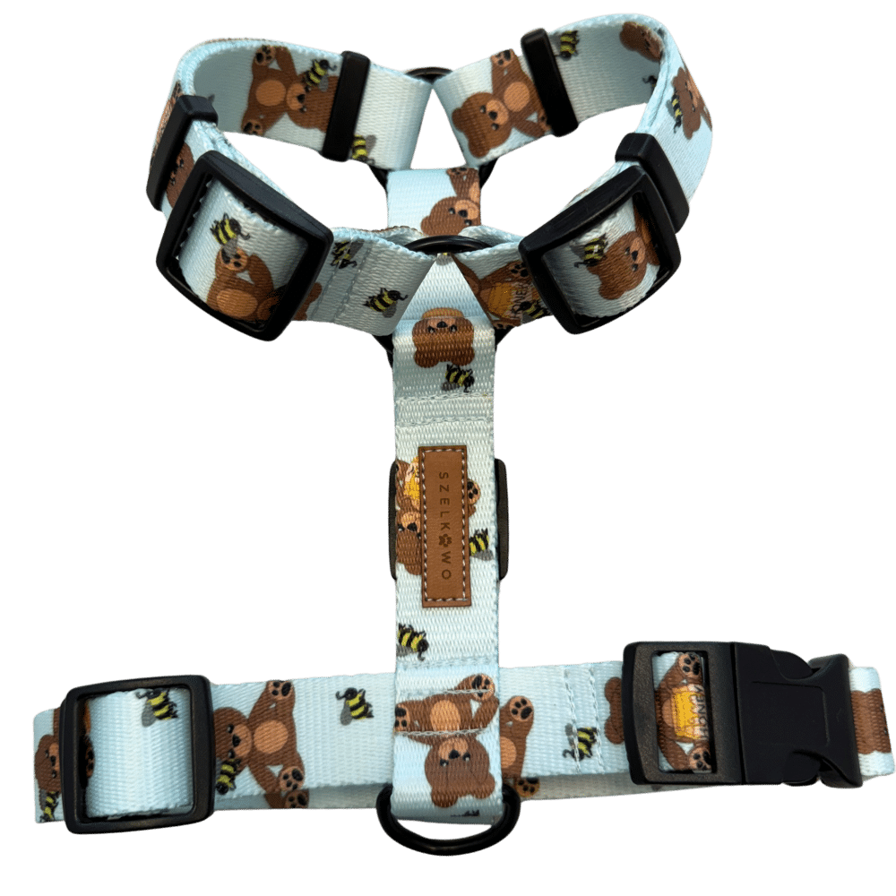 Projekt bez nazwy (3) TEDDY-BEE Niebieskie - obrazek 1
